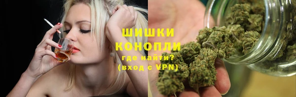 гидропоника Богданович