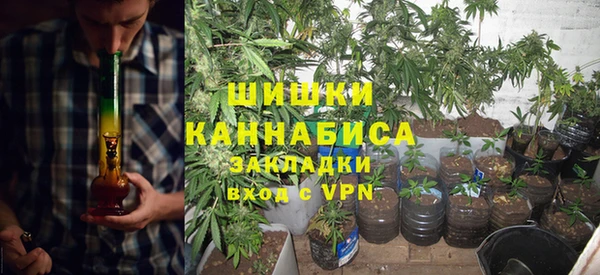 гидропоника Богданович