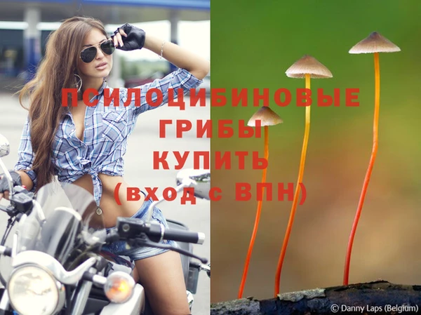 МДМА Богородицк