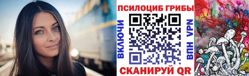 Галлюциногенные грибы мицелий  Купить  Горно-Алтайск 