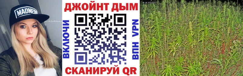 Купить где  Горно-Алтайск  Конопля Bruce Banner 